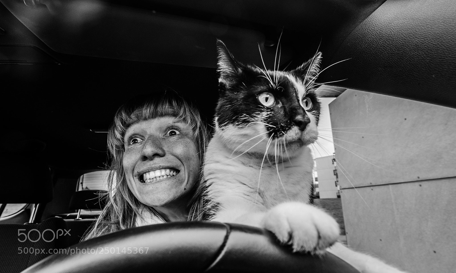 Nikon D7000 sample photo. Cardriver photography
