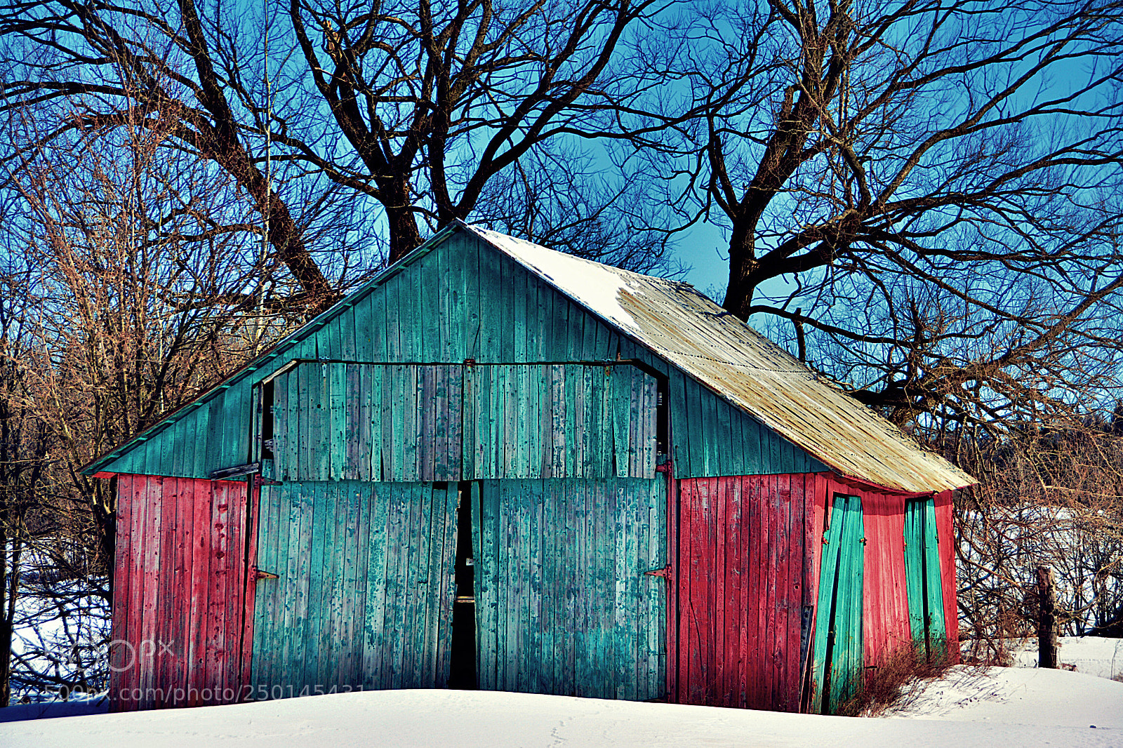 Nikon D7100 sample photo. Colors photography