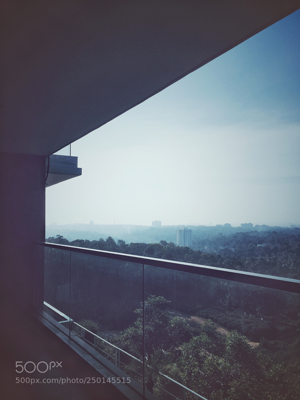 Apple iPhone 6 sample photo. Untitled photography