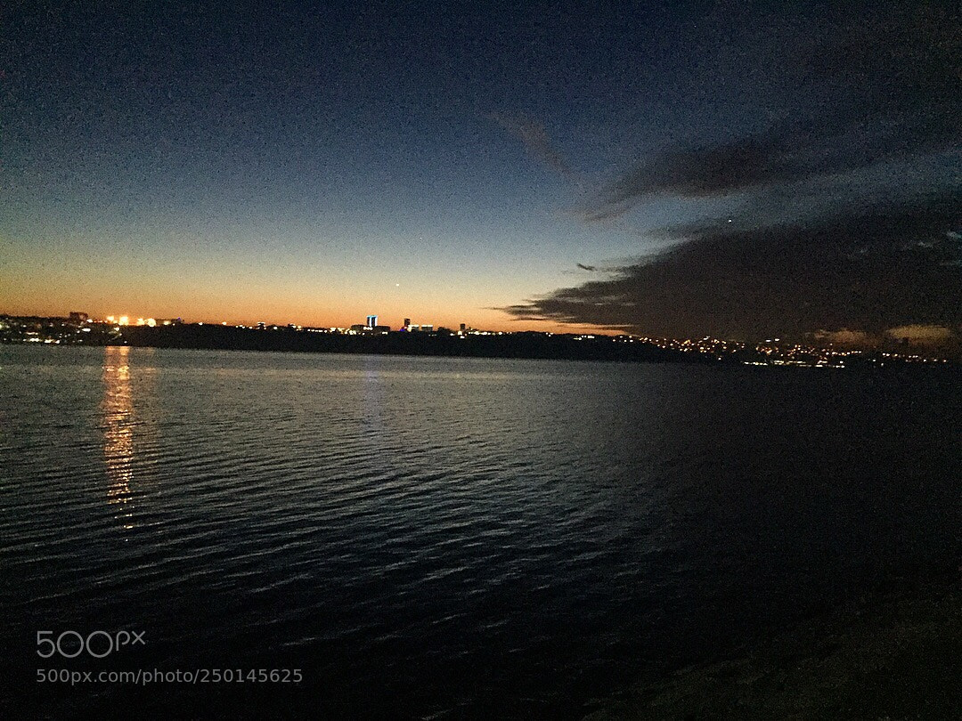 Apple iPhone 6 sample photo. Untitled photography