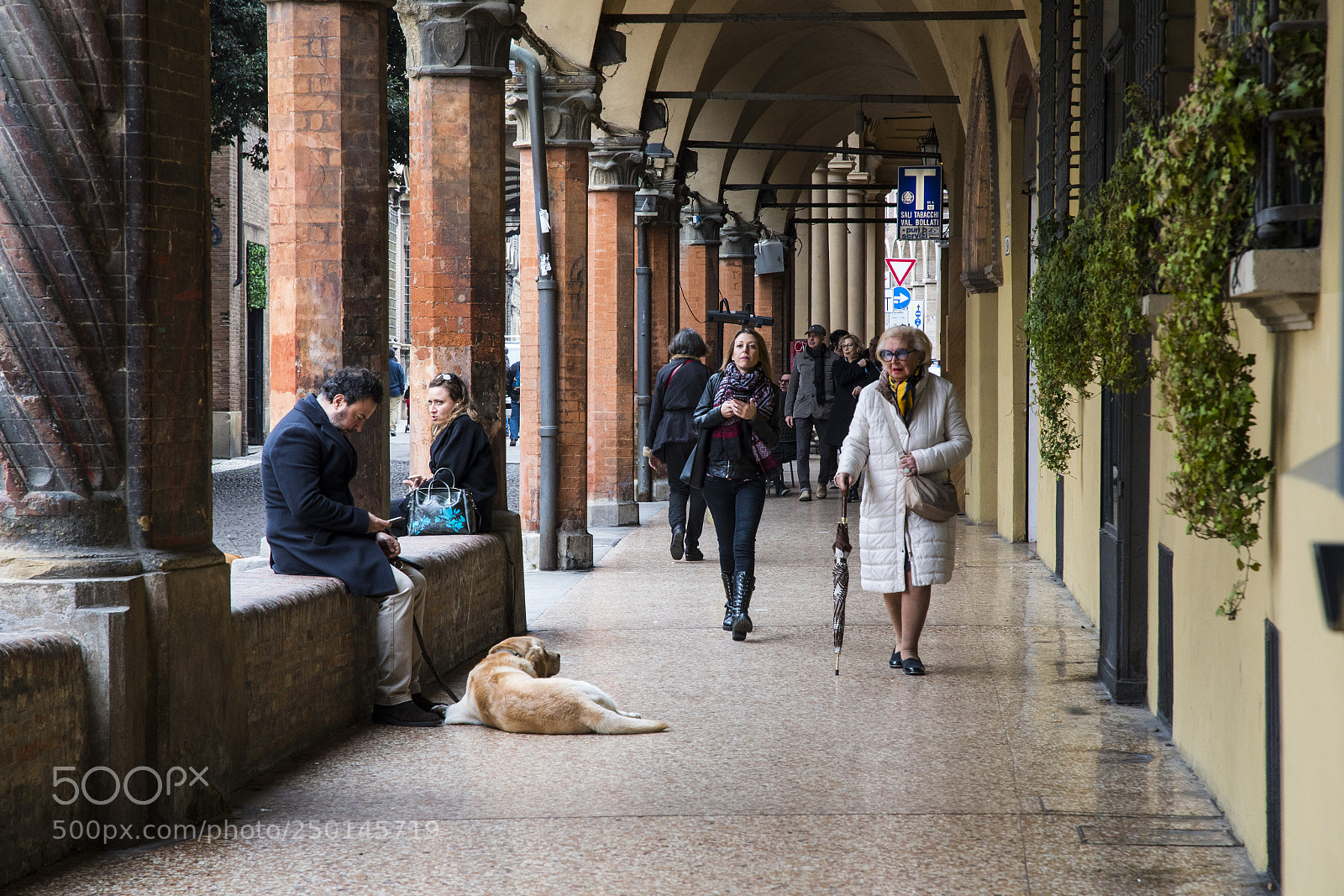 Nikon D500 sample photo. Street for bologna italy photography