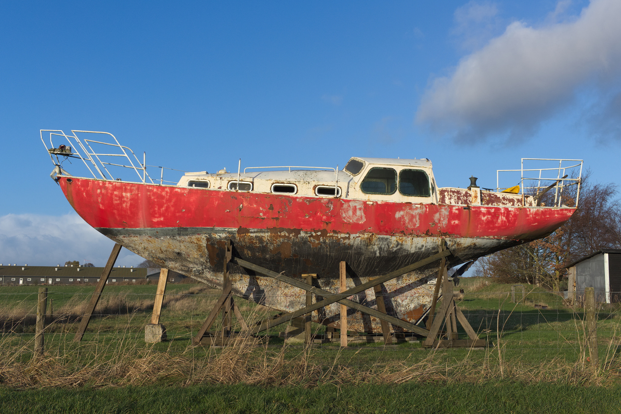 Canon EF-S 24mm F2.8 STM sample photo. Jacked up photography