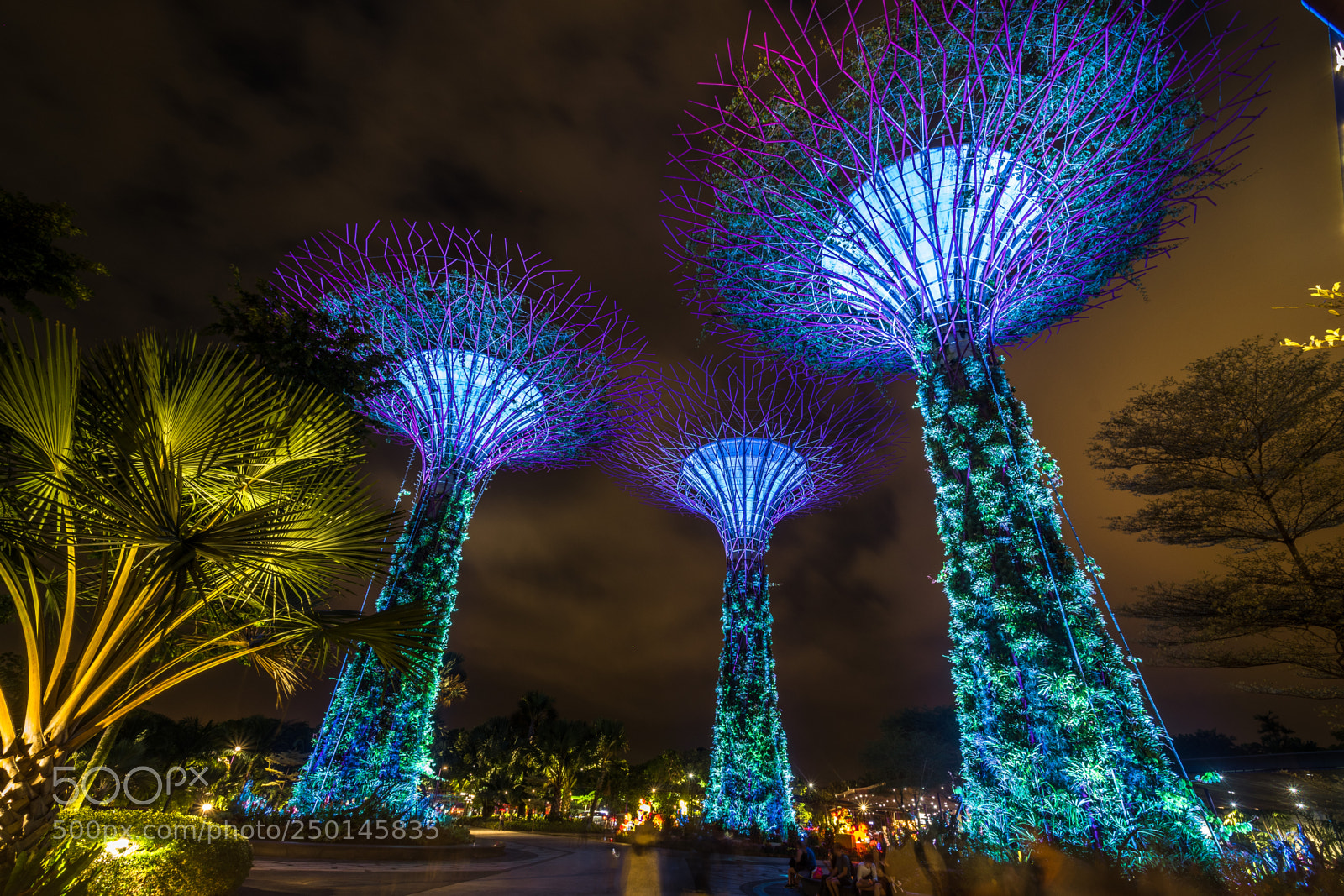 Nikon D500 sample photo. Singapore photography