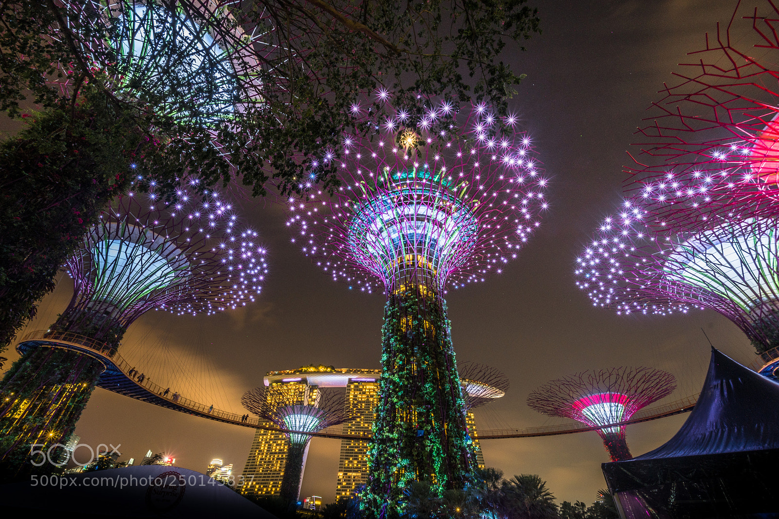 Nikon D500 sample photo. Singapore photography