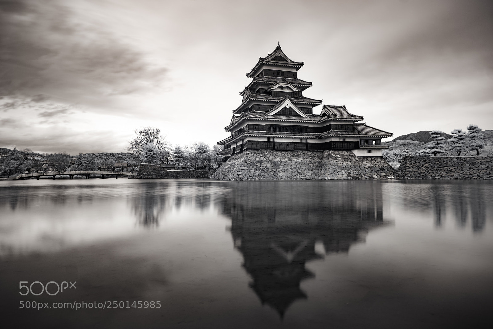 Sony Alpha NEX-7 sample photo. Matsumoto castle photography