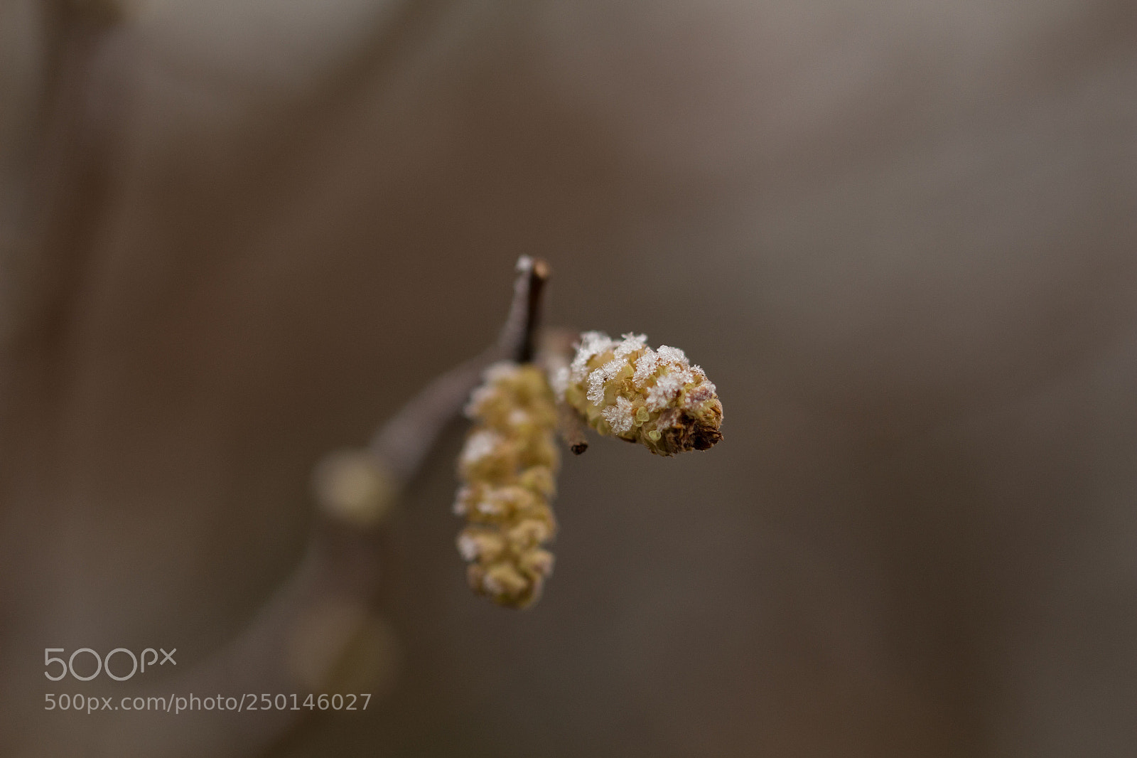 Canon EOS 700D (EOS Rebel T5i / EOS Kiss X7i) sample photo. Springtime photography