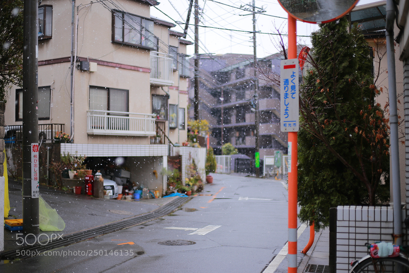 Canon EOS 6D + Canon EF 50mm F1.8 STM sample photo. Img photography