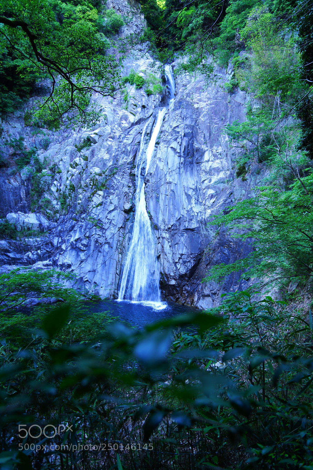 Sony SLT-A77 sample photo. Untitled photography