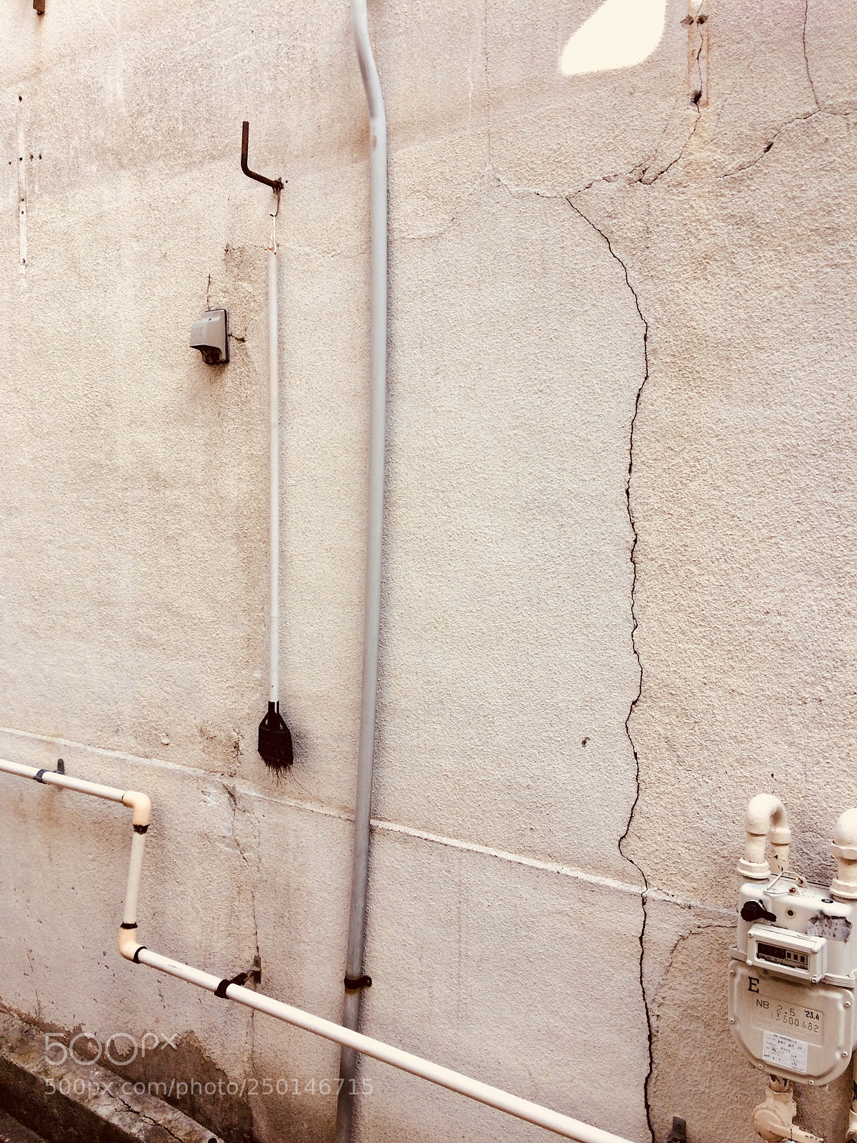 Apple iPhone 5s sample photo. The broom's life cycle photography