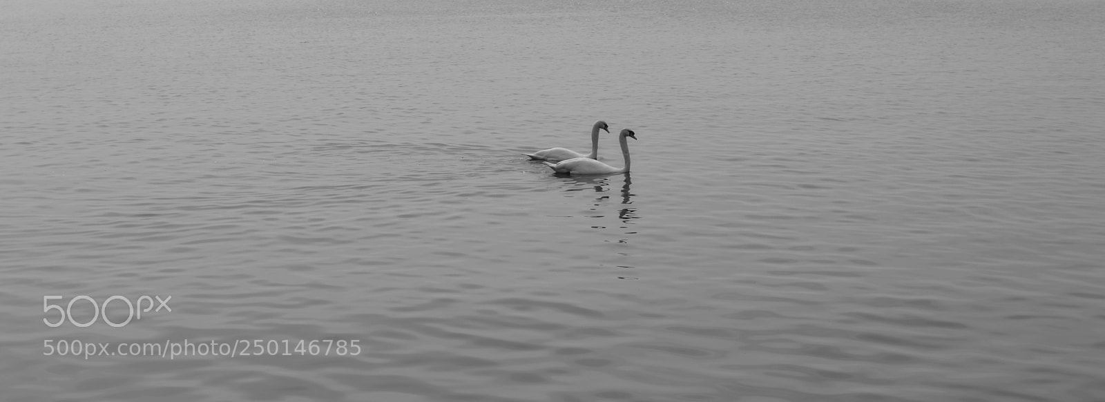 Nikon D3200 sample photo. You and  me photography