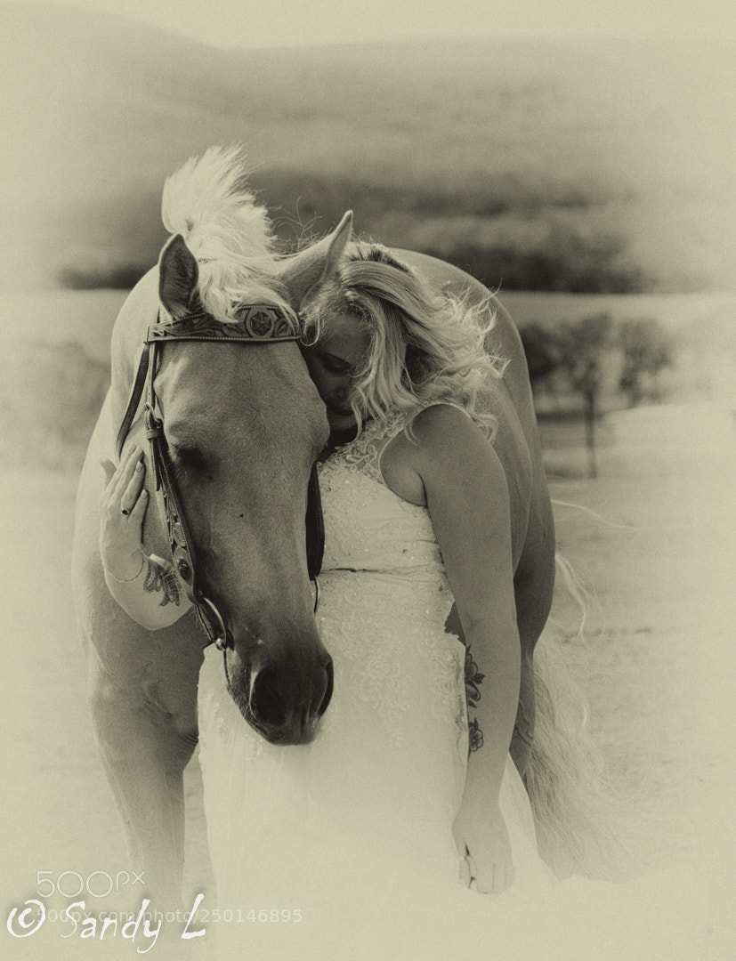 Canon EOS 600D (Rebel EOS T3i / EOS Kiss X5) sample photo. A bride's best friend photography
