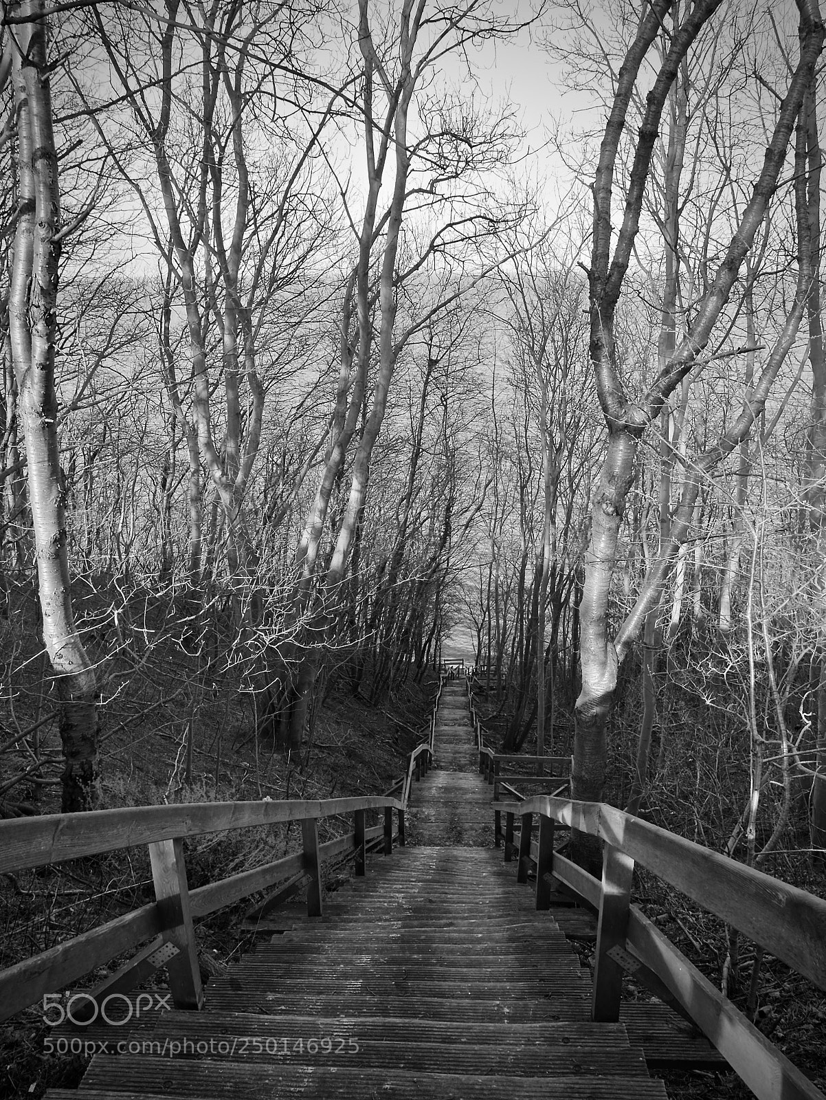 Leica D-Lux (Typ 109) sample photo. A staircase to the photography