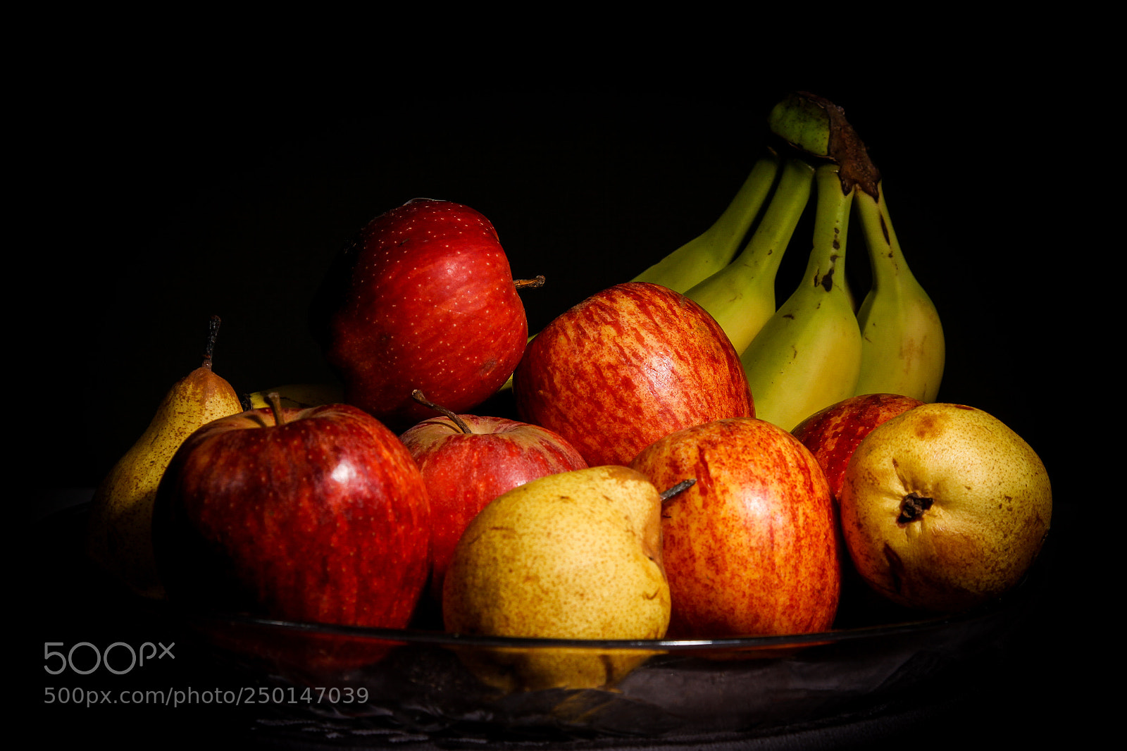 Canon EOS 50D sample photo. The fruits nest photography
