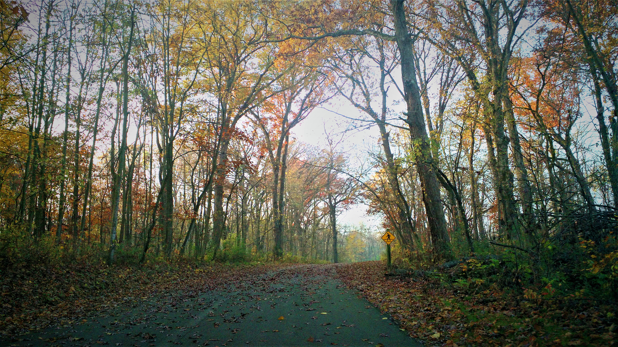 Motorola Moto X (2nd Gen) sample photo. A walk in the fall photography