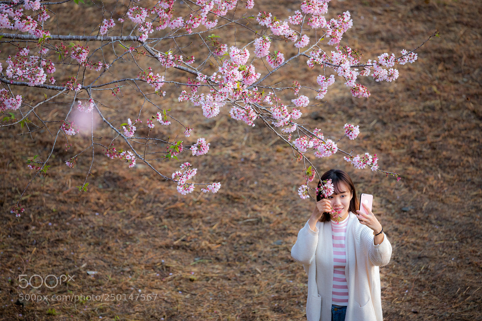 Canon EOS 6D Mark II sample photo. Untitled photography