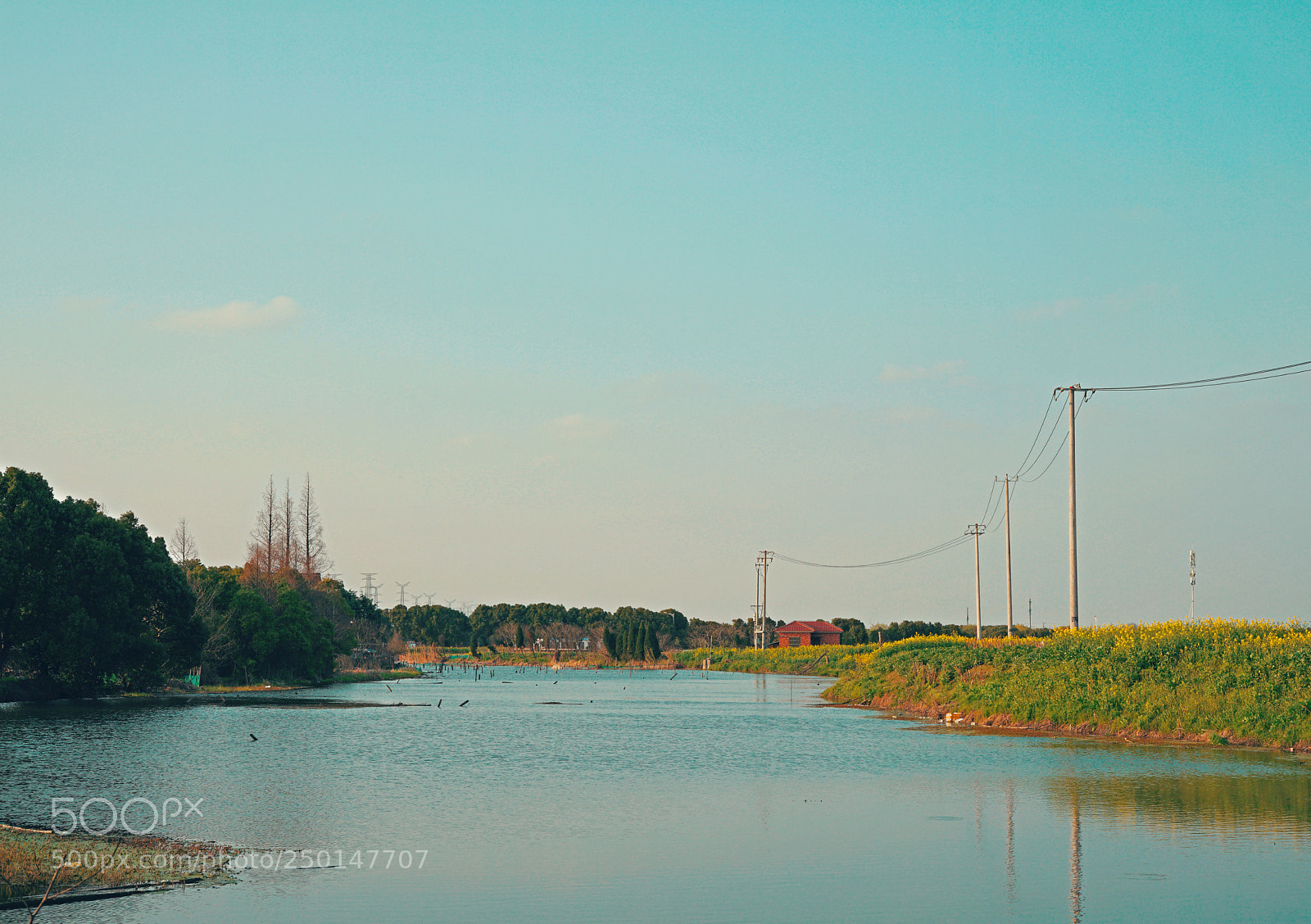 Sony a7R II sample photo. 珍郎与子神.jpg photography