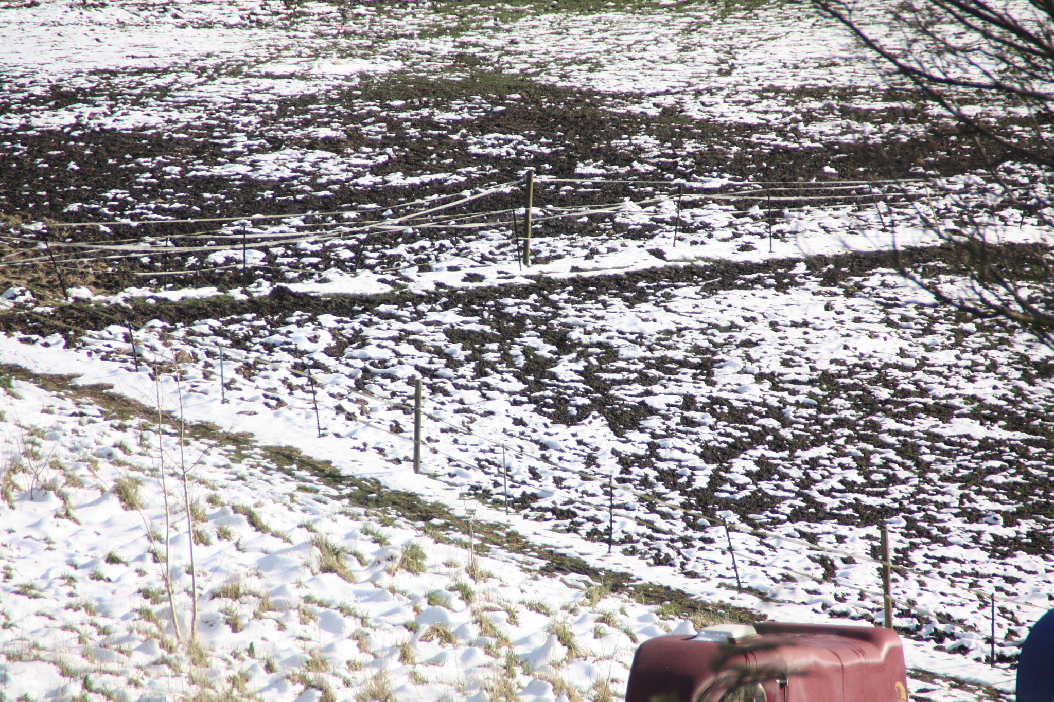 Canon EOS 450D (EOS Rebel XSi / EOS Kiss X2) sample photo. Field with snow 8 photography