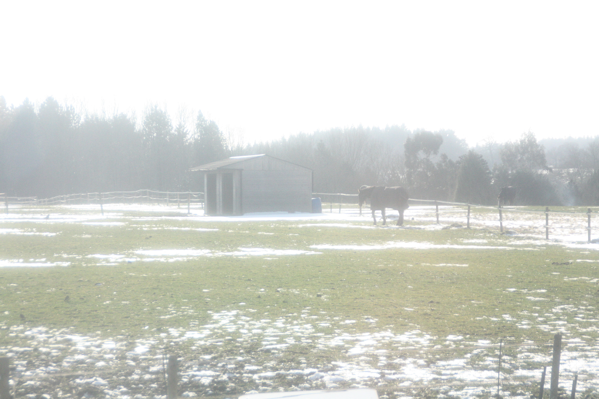Canon EOS 450D (EOS Rebel XSi / EOS Kiss X2) sample photo. Field with snow 10 photography