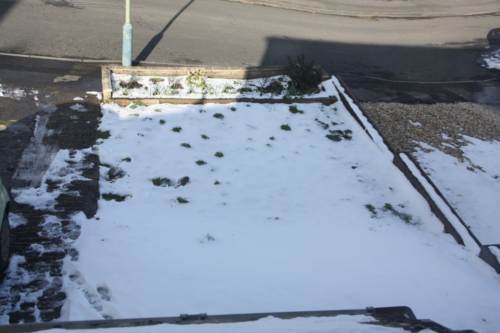 Canon EOS 450D (EOS Rebel XSi / EOS Kiss X2) sample photo. Garden with snow photography