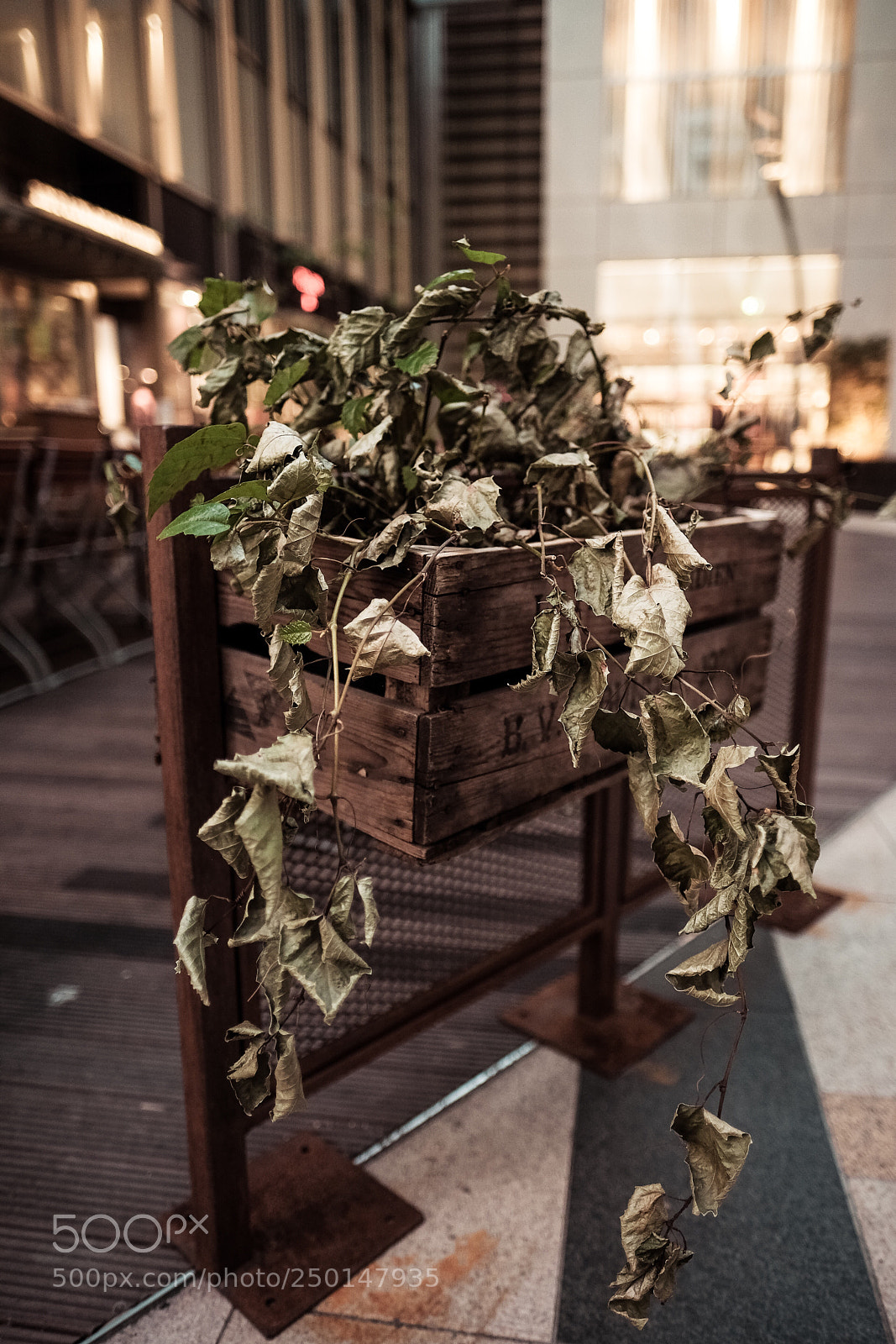 Fujifilm X-T2 sample photo. Untitled photography