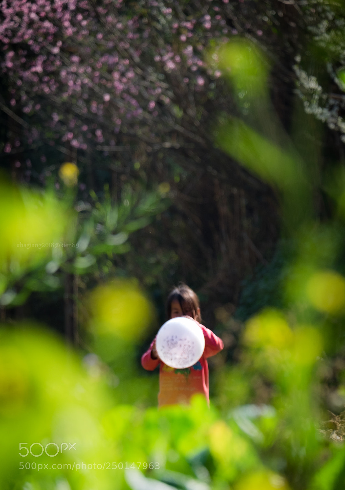 Fujifilm X-E2 sample photo. Untitled photography