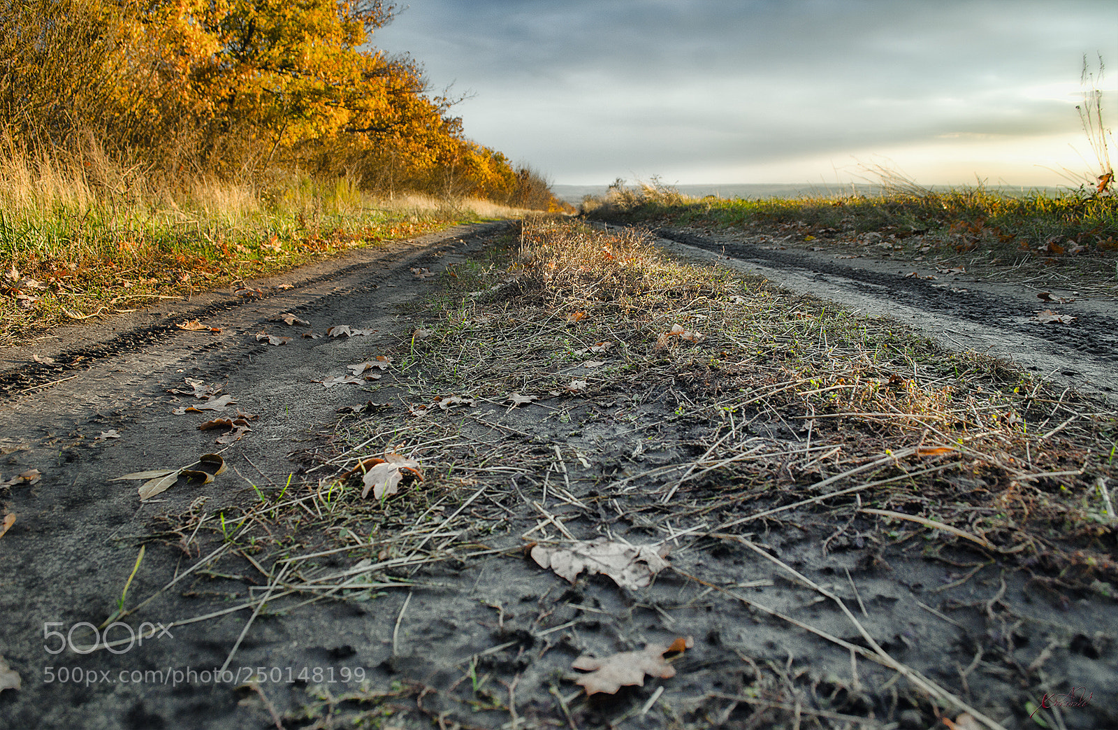 Nikon D3100 sample photo. как смарт объект photography