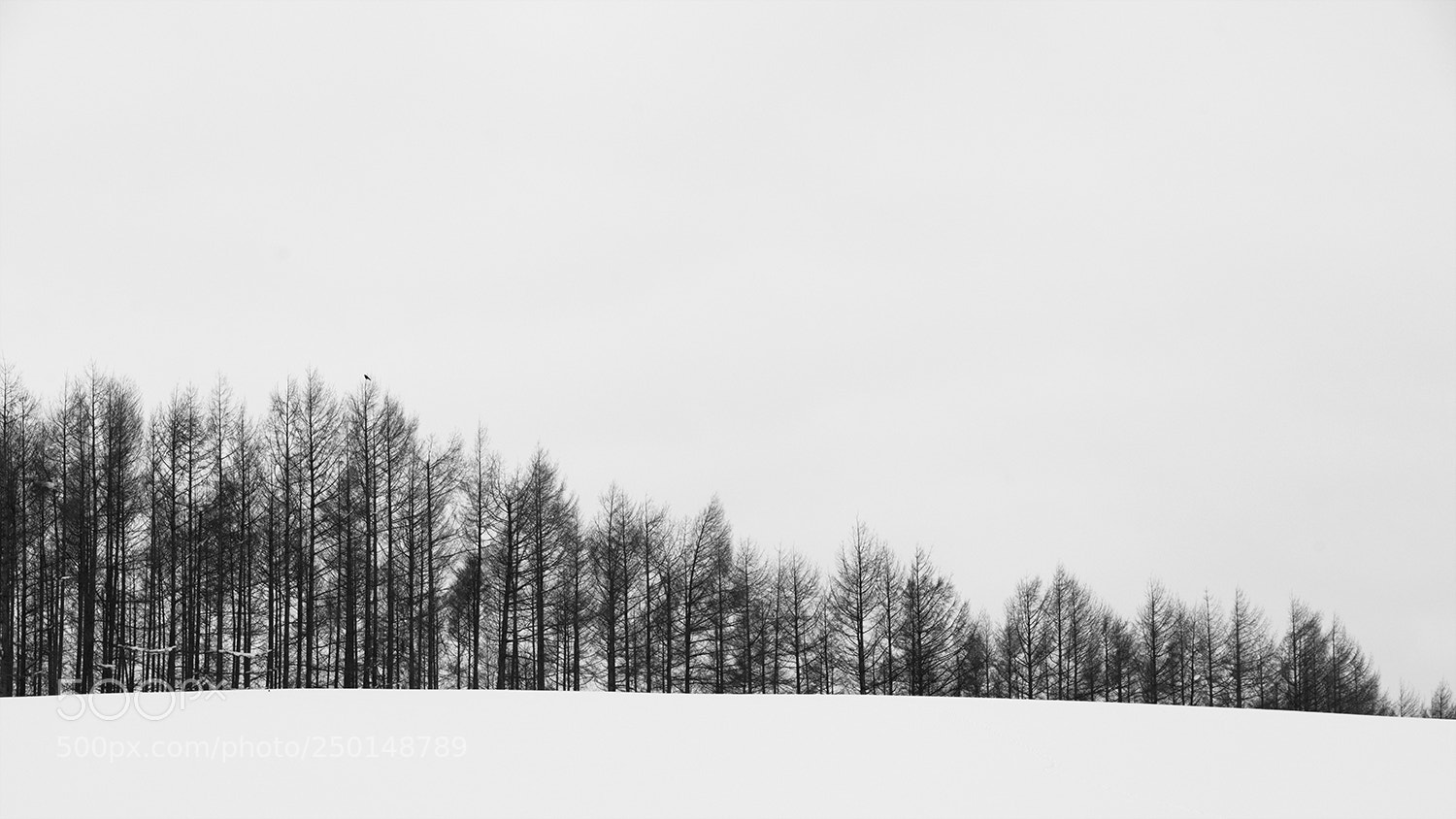 Sony a7R sample photo. Biei, hokkaido photography