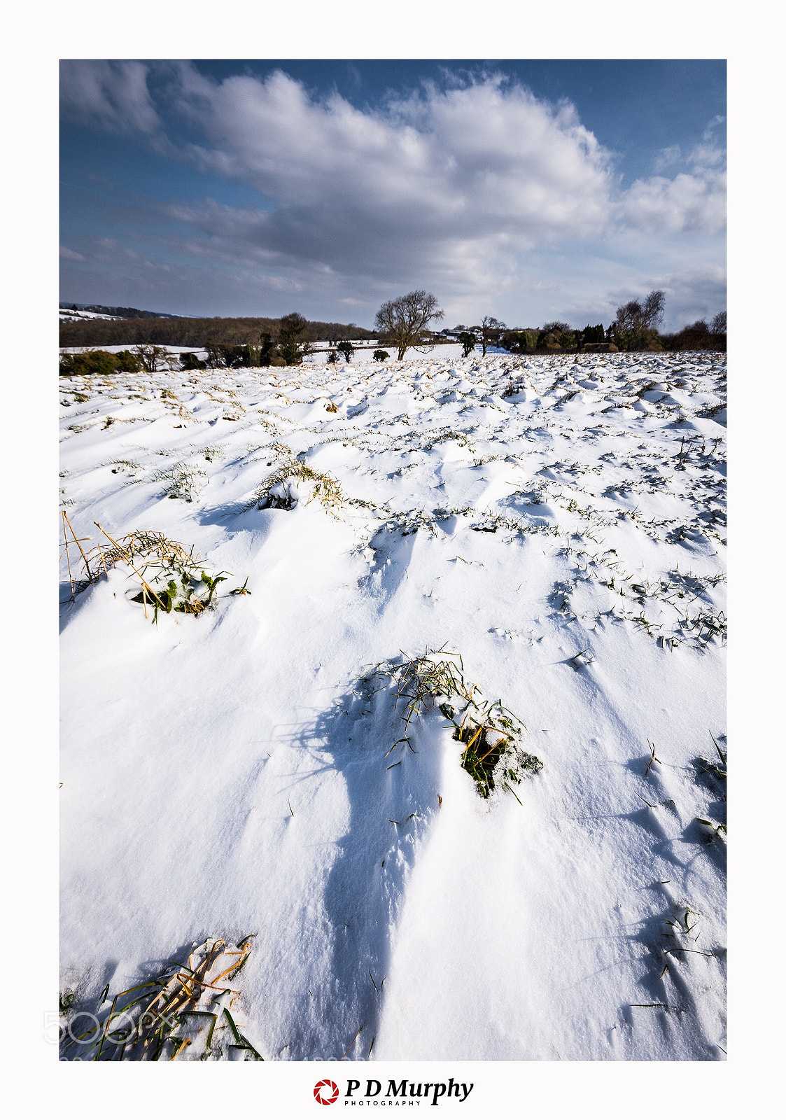 Nikon D7200 sample photo. The meadow  photography