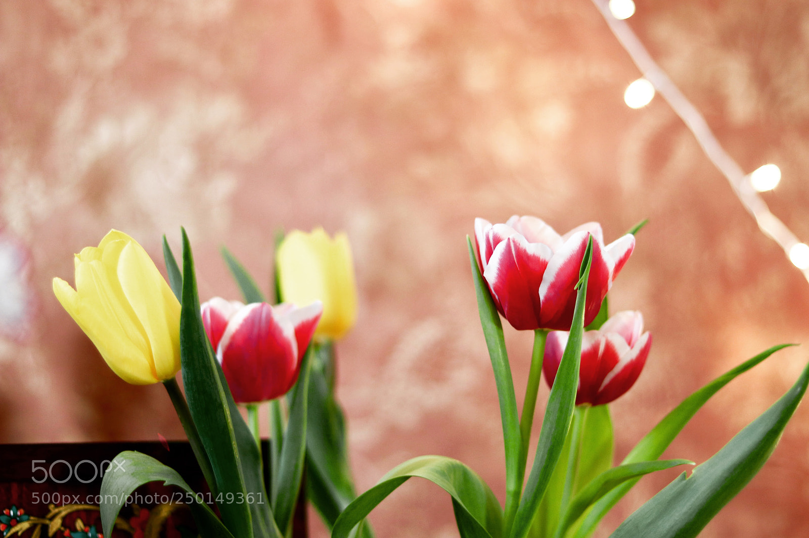 Canon EOS 80D sample photo. Spring is here. photography