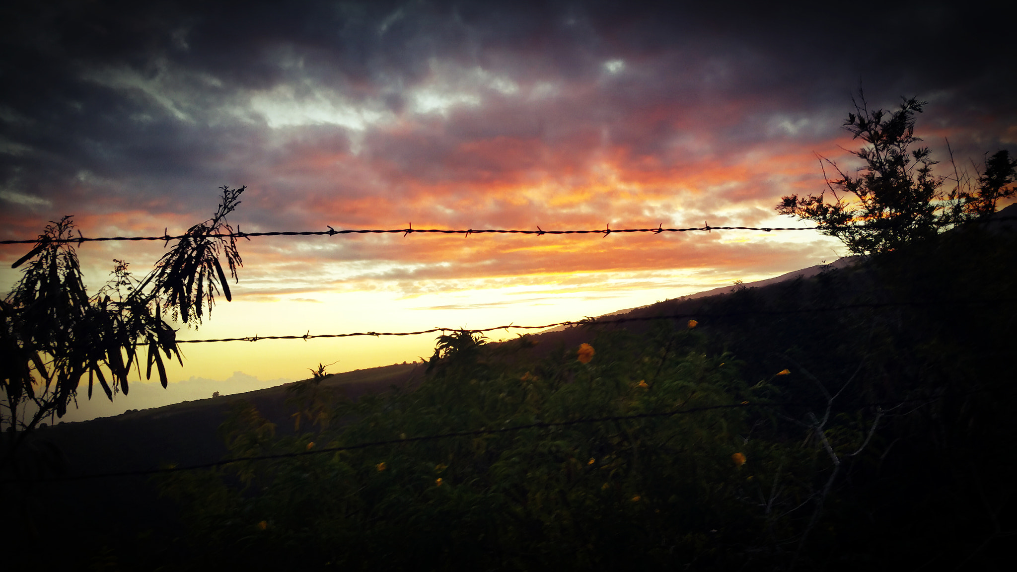 Samsung Galaxy S5 LTE-A sample photo