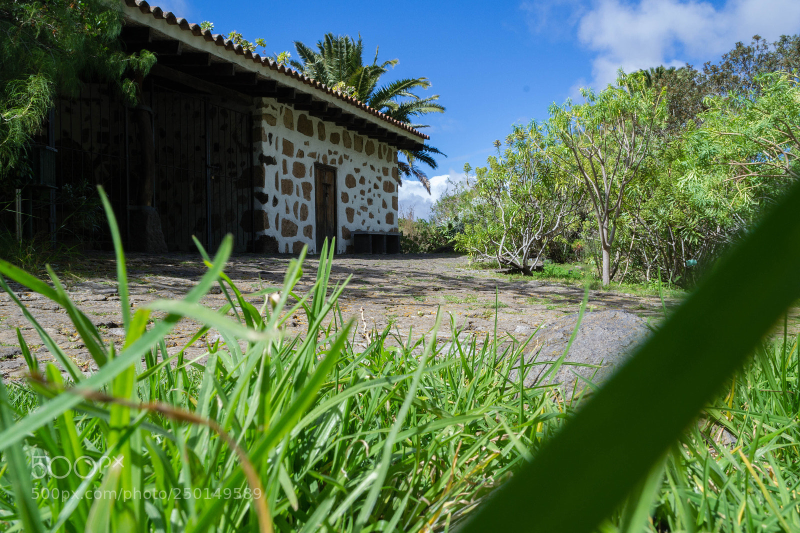 Nikon D3100 sample photo. Landscape of house with photography