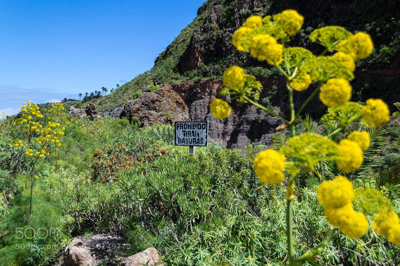 Nikon D3100 sample photo. Sign forbidden to throw photography