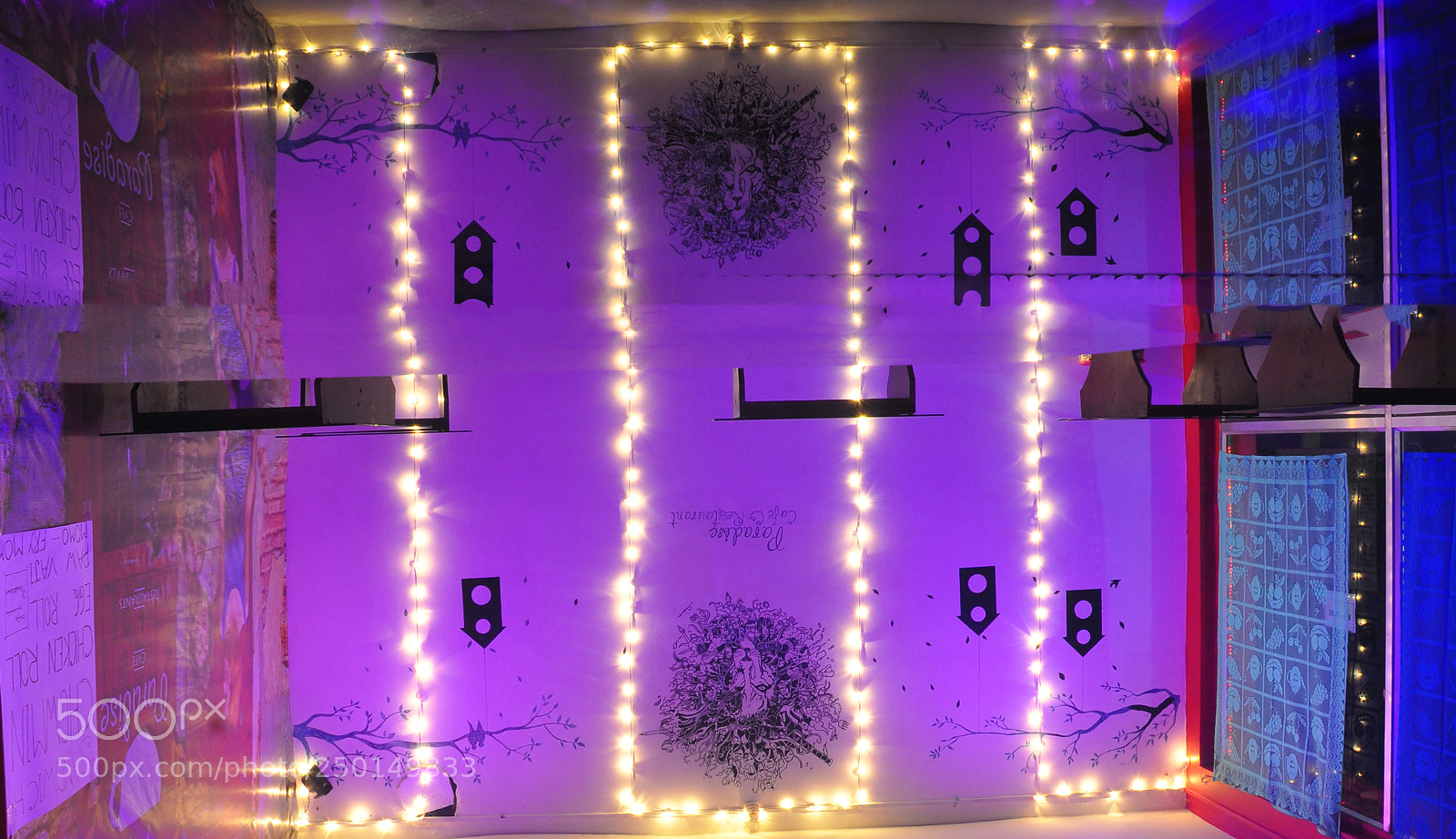Nikon D90 sample photo. Upside down photography