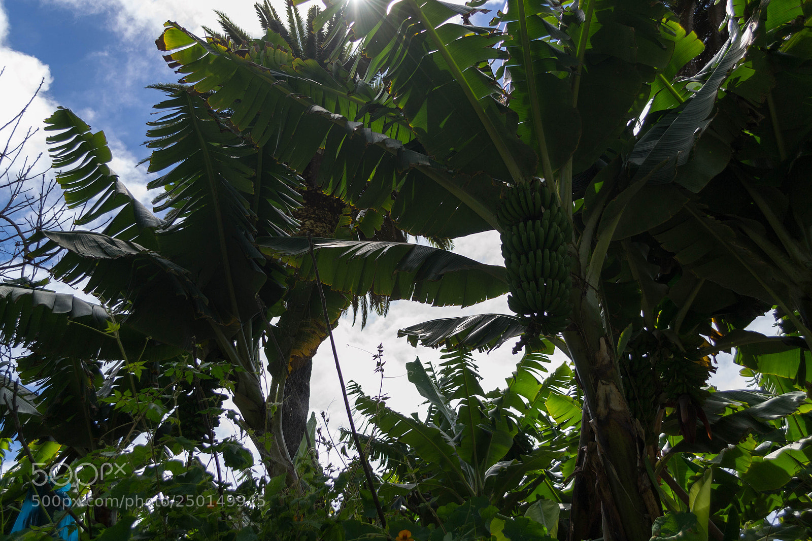 Nikon D3100 sample photo. Untitled photography