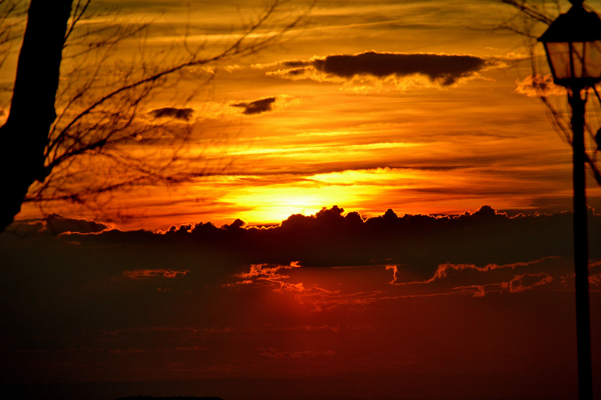 Nikon D3100 sample photo. Ponent. photography
