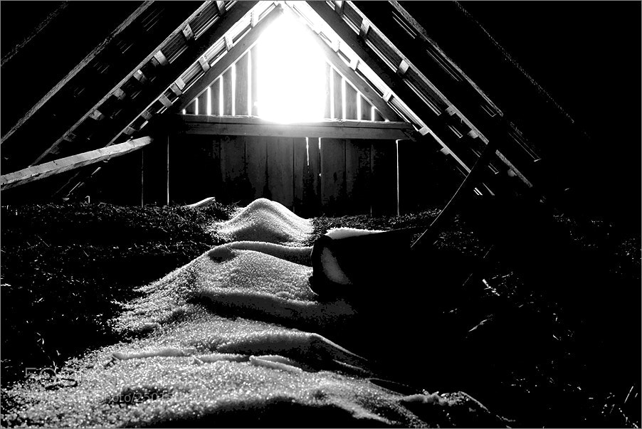 Nikon D610 sample photo. Winter in the attic photography