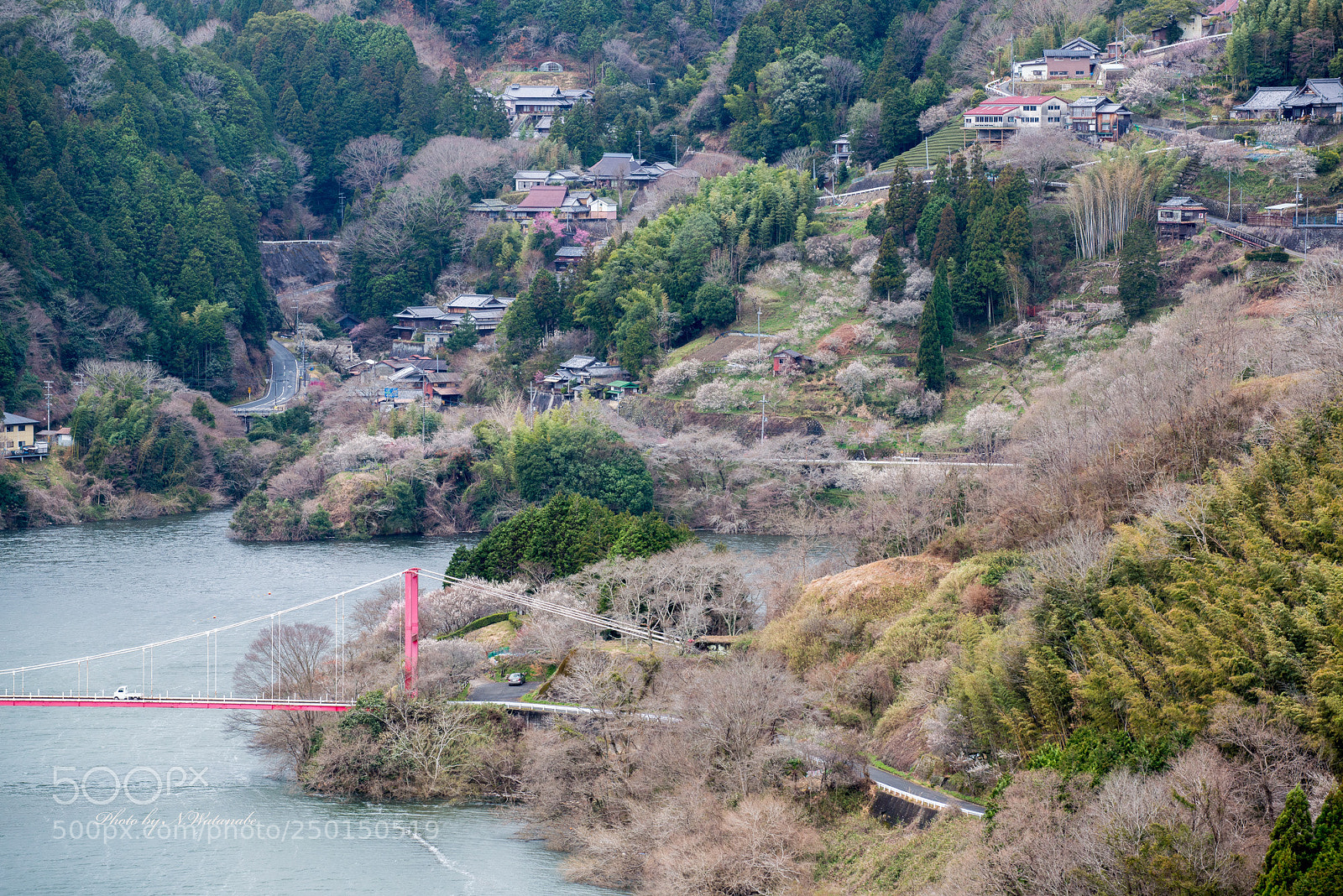 Nikon D800 sample photo. 月ヶ瀬梅林（tukigase bairin) photography