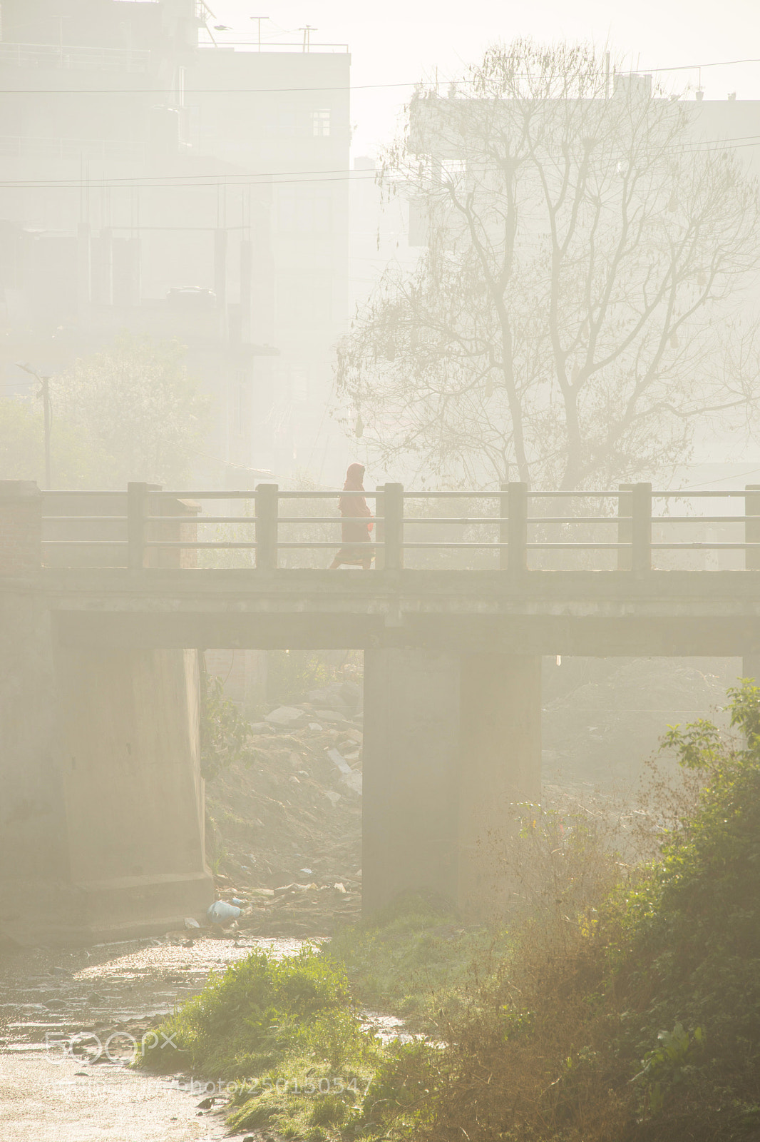 Nikon D610 sample photo. Bridge photography