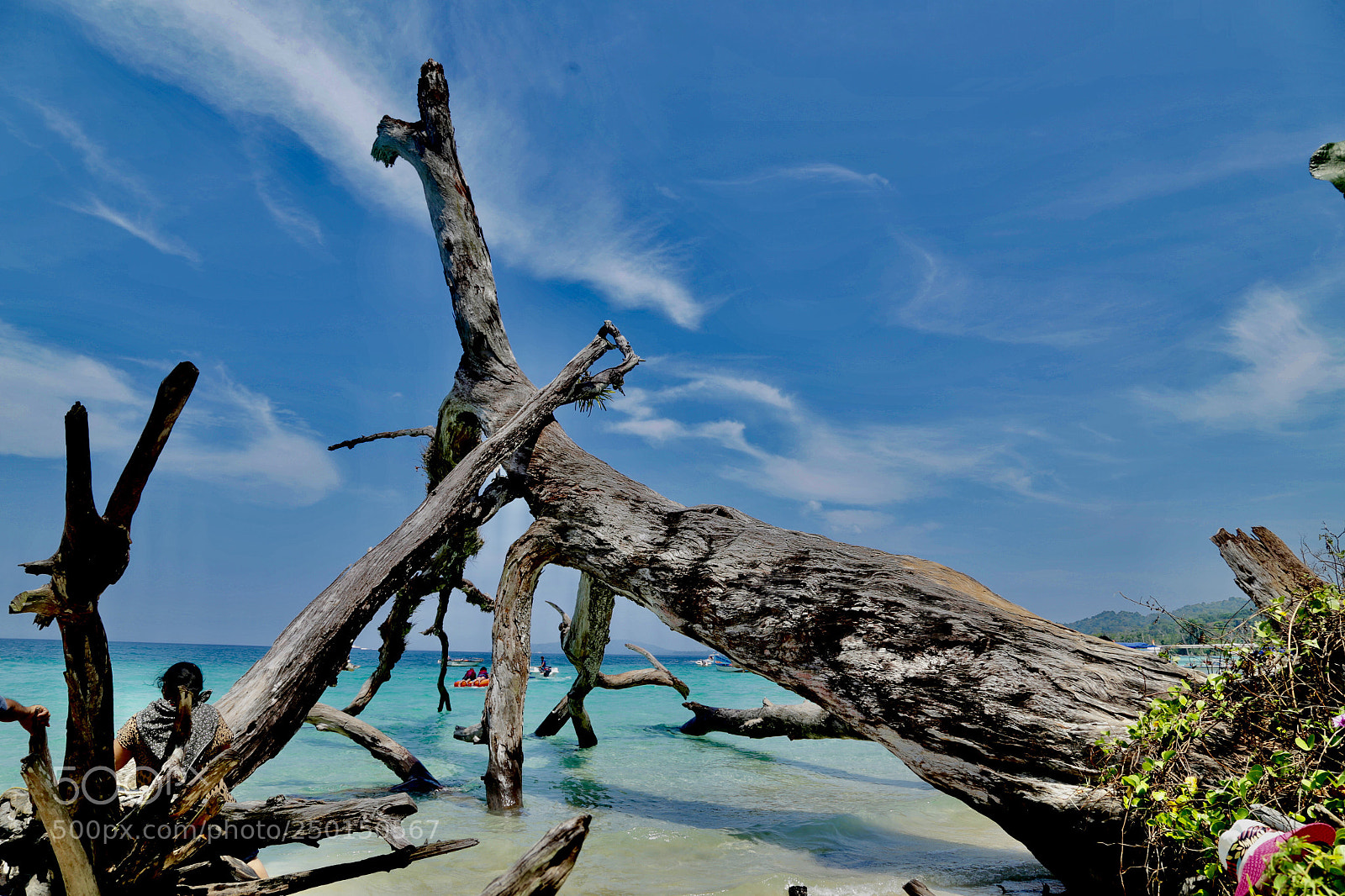 Canon EOS 6D sample photo. Andaman and nicobar island photography