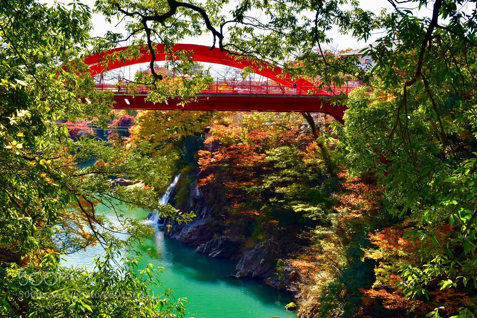 Nikon D7200 sample photo. Red bridge photography