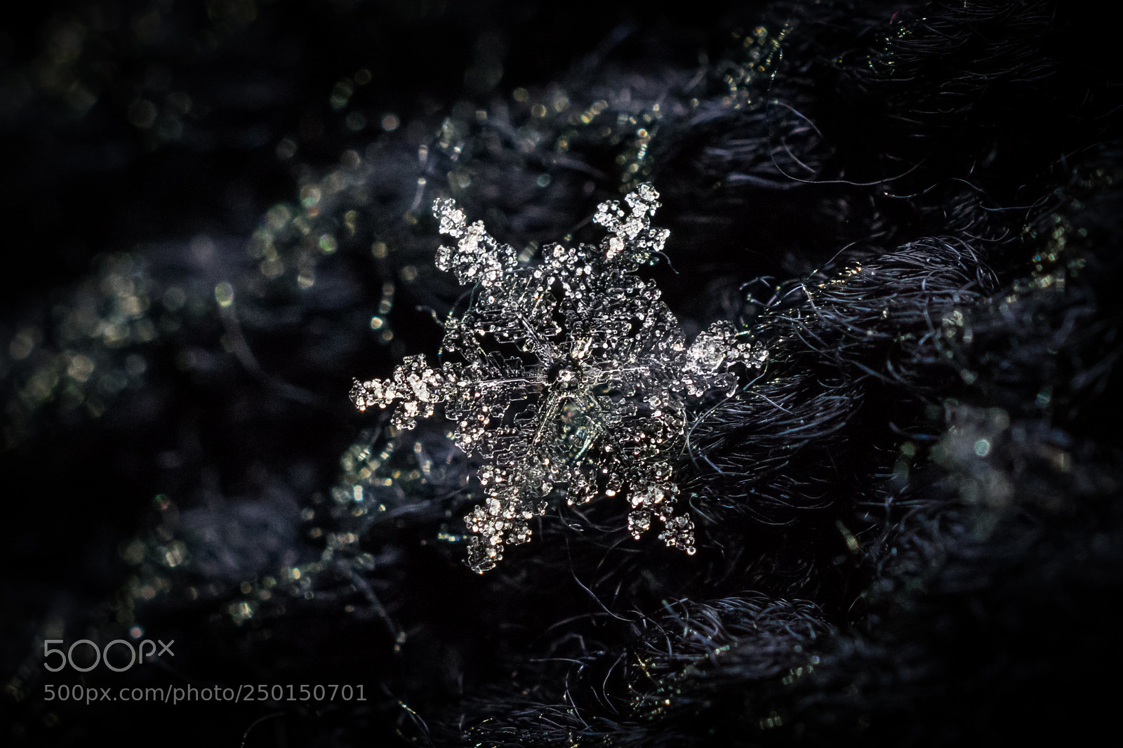 Nikon D5300 sample photo. The spring snowflake photography