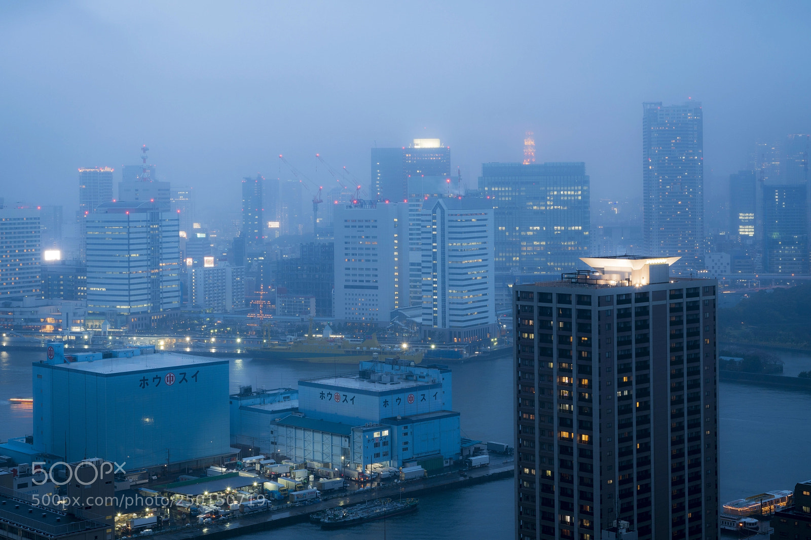 Sony a7R III sample photo. Dsc photography