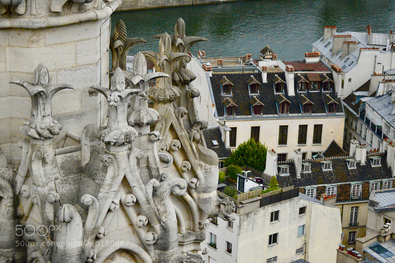 Nikon D3200 sample photo. On the roof of photography