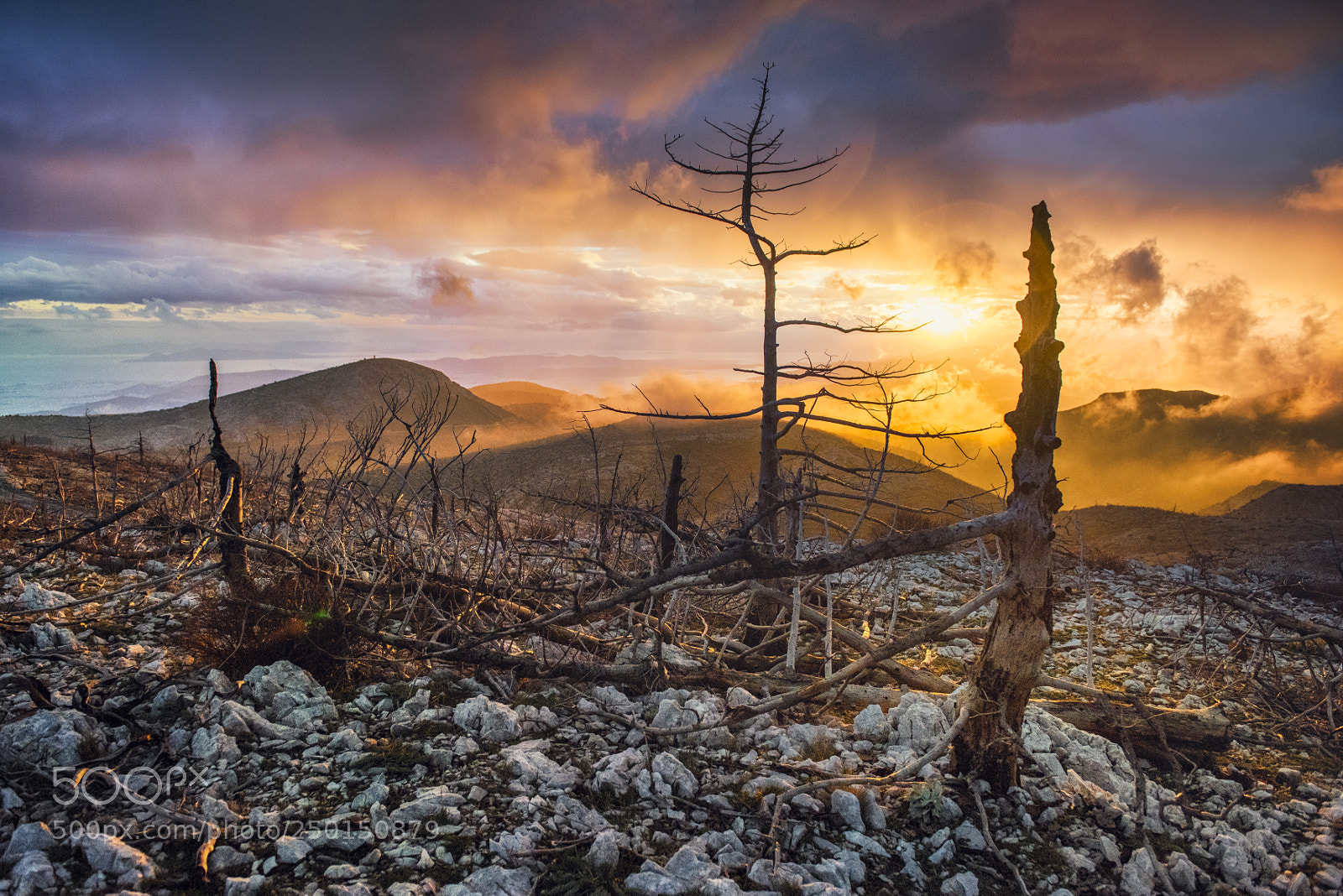 Nikon D810 sample photo. The burning world photography