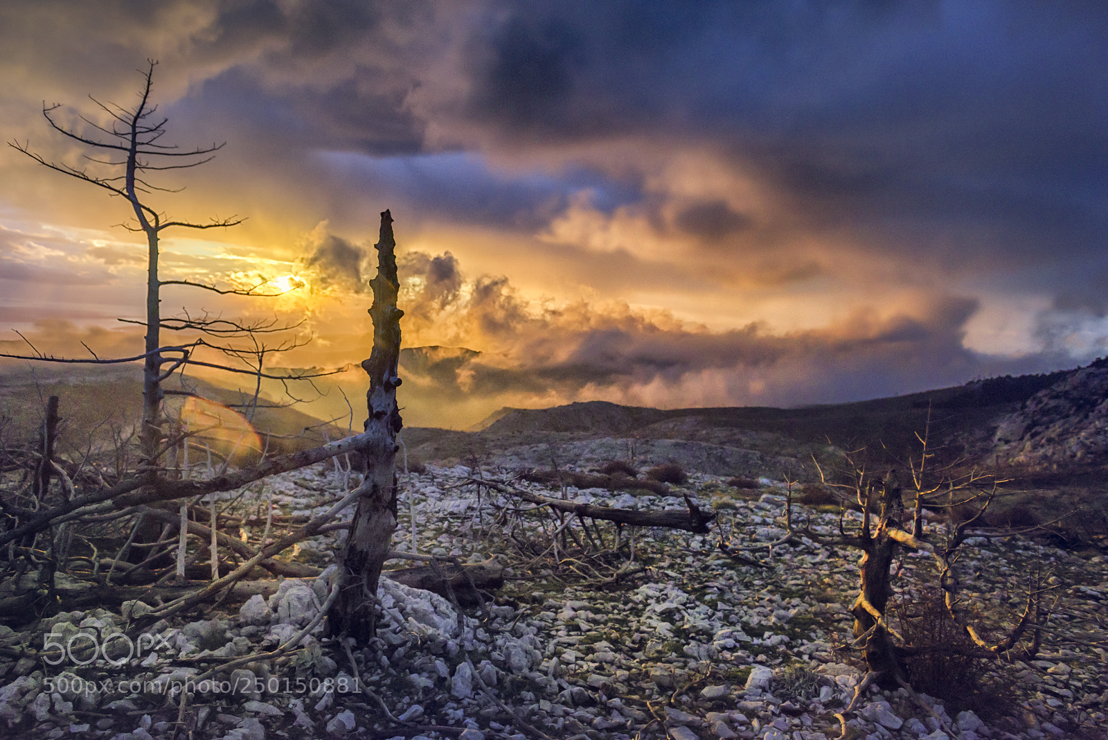 Nikon D810 sample photo. The burning world photography