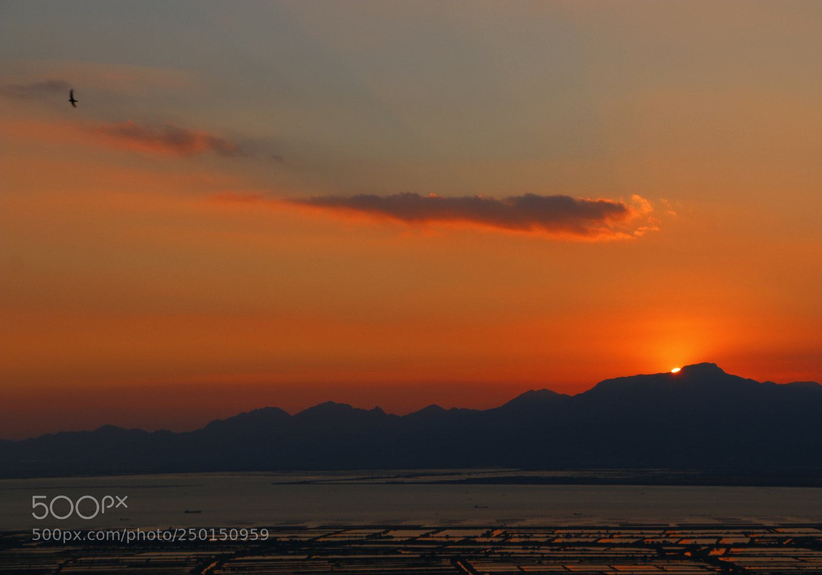 Canon EOS 70D sample photo. 孖髻山日落 photography