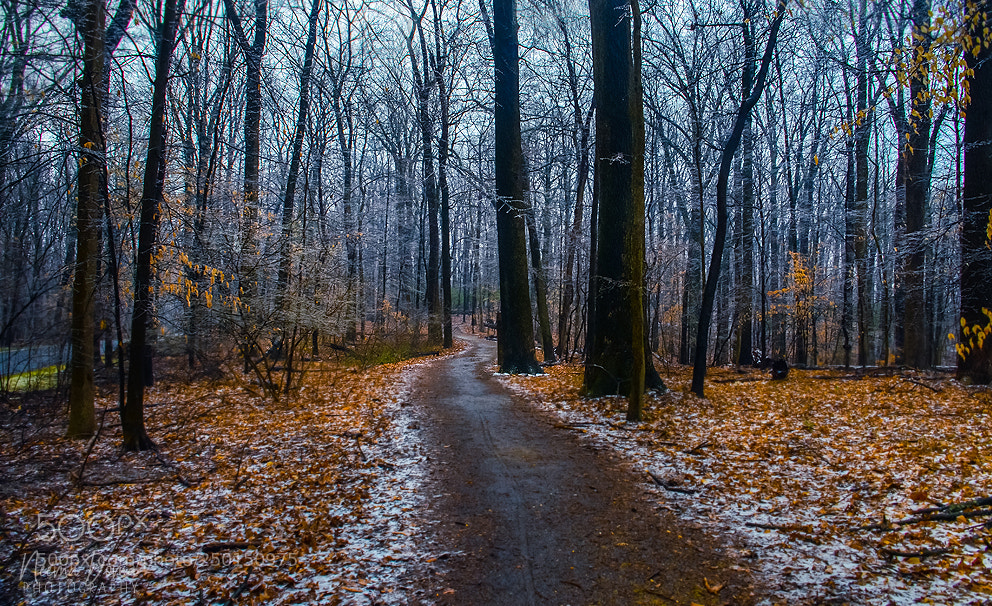 Nikon D7000 sample photo. Capture the silence photography