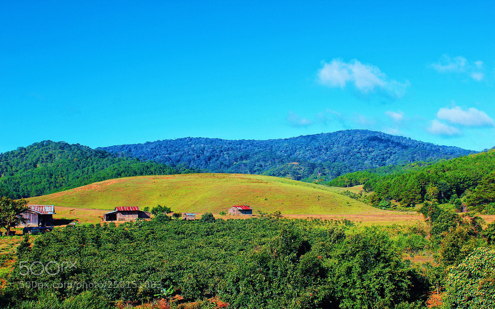 Canon EOS 550D (EOS Rebel T2i / EOS Kiss X4) sample photo. Small wooden house among photography