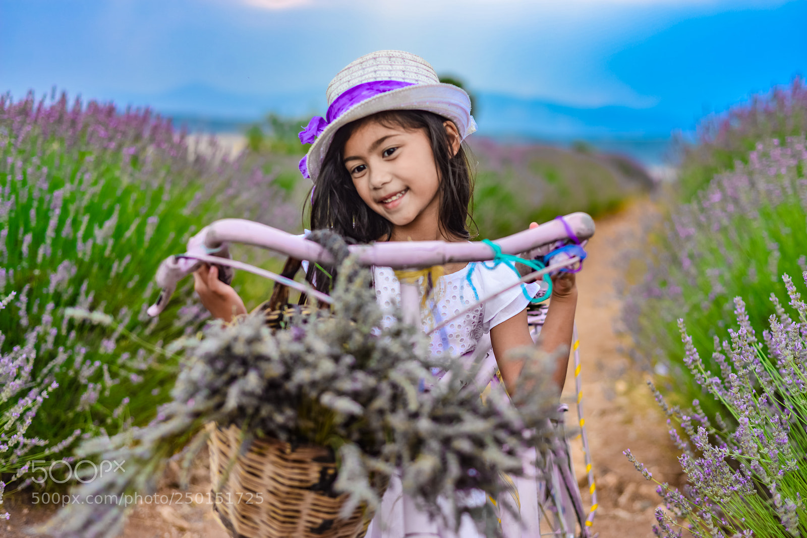 Nikon D800 sample photo. E.j. #9 photography