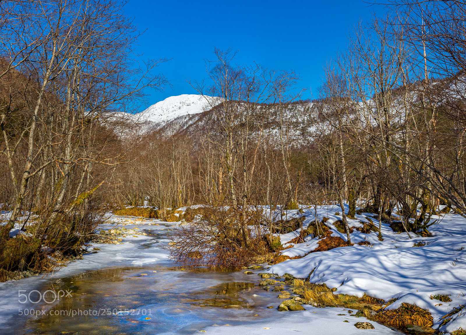 Canon EOS 6D Mark II sample photo. The river photography